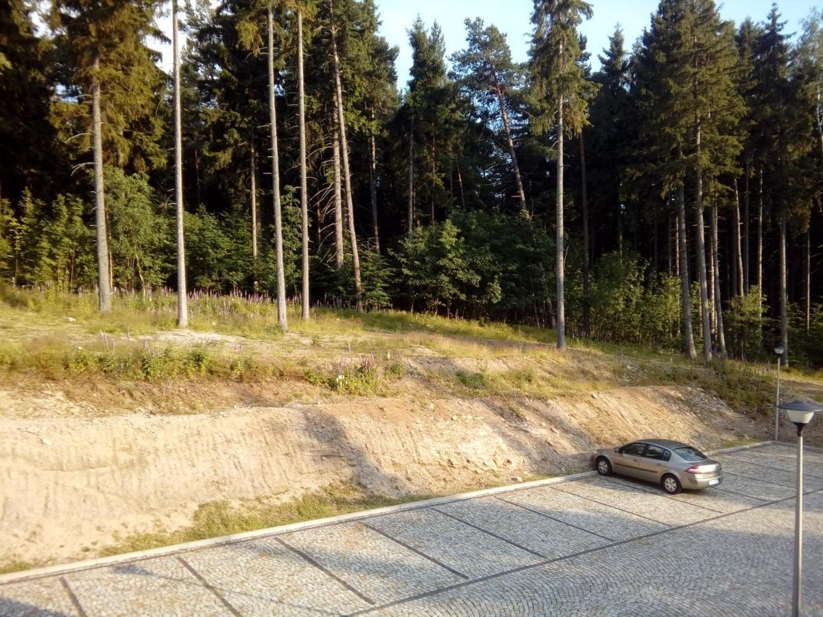 Apartament Tla Schreiberhau Zewnętrze zdjęcie