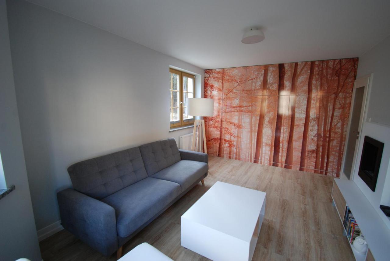 Apartament Tla Schreiberhau Zewnętrze zdjęcie